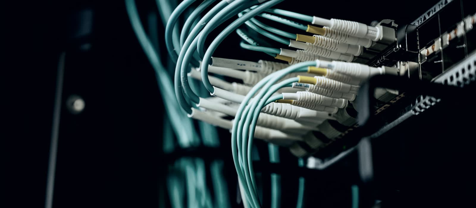 Fibre cables plugged into a server rack